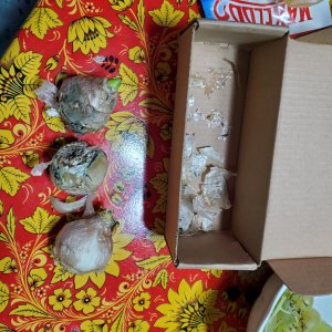 все обо всем..