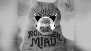 LENAR - MONTAGEM MIAU - ULTRA SLOWED - full version - PHONK