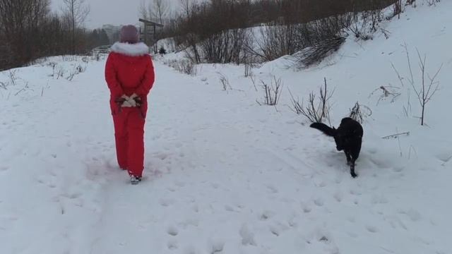 video5298539589290461970 смотреть онлайн