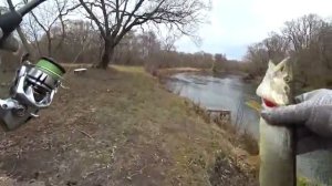 РЫБАЛКА КАК В СКАЗКЕ. ПРОБРАЛСЯ В ЗАРОСШИЙ ЛЕС натаскал щук и накормил животное. Рыбалка на спиннинг