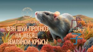Фэн Шуй прогноз на декабрь (месяц Земляной Крысы).