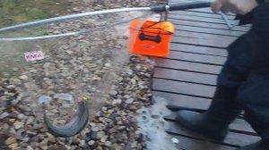 Основной водоём. Форель на резину.