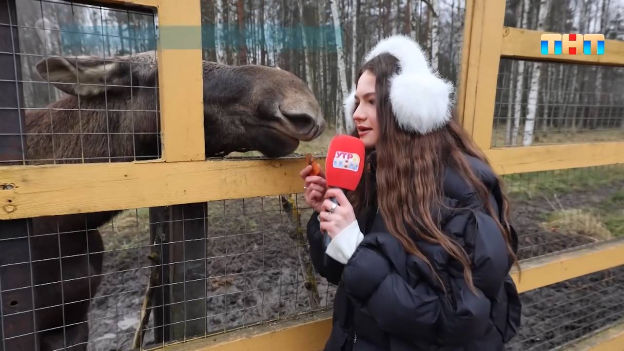 Отправимся на ферму оленей