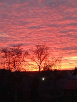 играем в разные игры которые есть у меня на компе