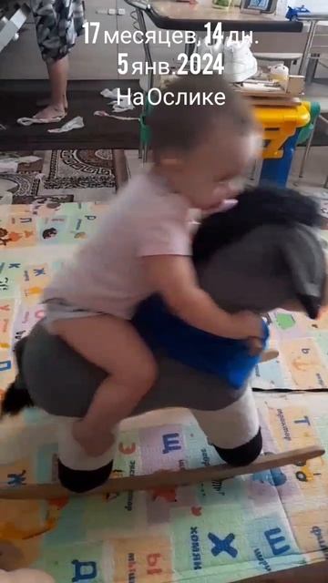 17 мес.,14 дн.На ослике (5 янв.2024).mp4