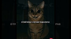 Теперь будем знать# у кото тож было когда вы все не знали