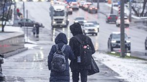 Синоптик назвала сроки выпадения настоящего снега в Москве