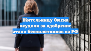 Жительницу Омска осудили за одобрение атаки беспилотников на РФ