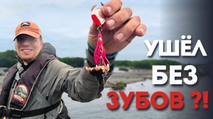 Кижуч, медведи и Камчатка