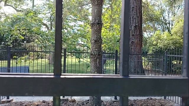 Воронцовский дворец и парк. Крым 2025 смотреть онлайн