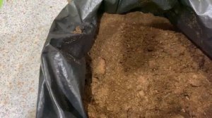 Прокаливание грунта в духовом шкафу