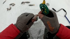 ОПУСТИЛ КАМЕРУ, а ТУТ КУЧА РЫБЫ ВМЕСТО ДНА ! БЛЕСНА НЕ ДОХОДИТ ДО ДНА ! ПЕРВЫЙ ЛЁД 2025 НА РЕКЕ !