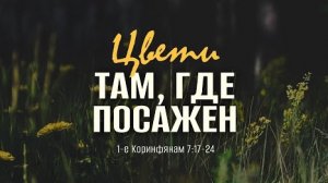 Цвети там, где посажен - 1 Кор. 7-17-24 -- Андрей Зубарев