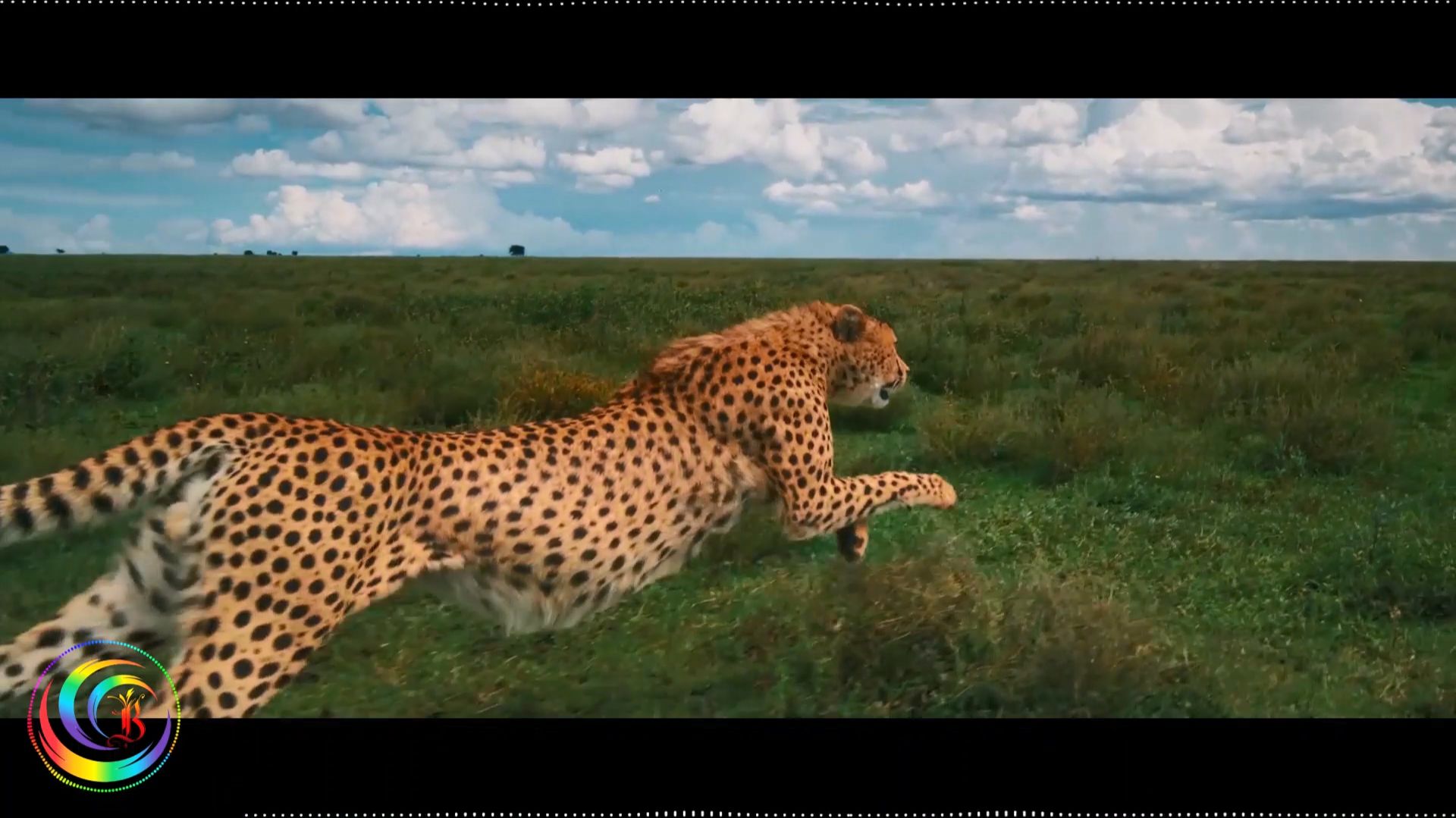 AlimkhanOV A. - Black Long Intro