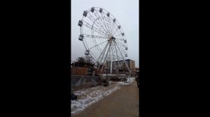 Поездка в Калининград ,Светлогорск , Зеленоградск.  ноябрь 2025г.