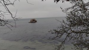 Приморский парк,грек с черепахой и одинокий лебедь в бухте со скалами