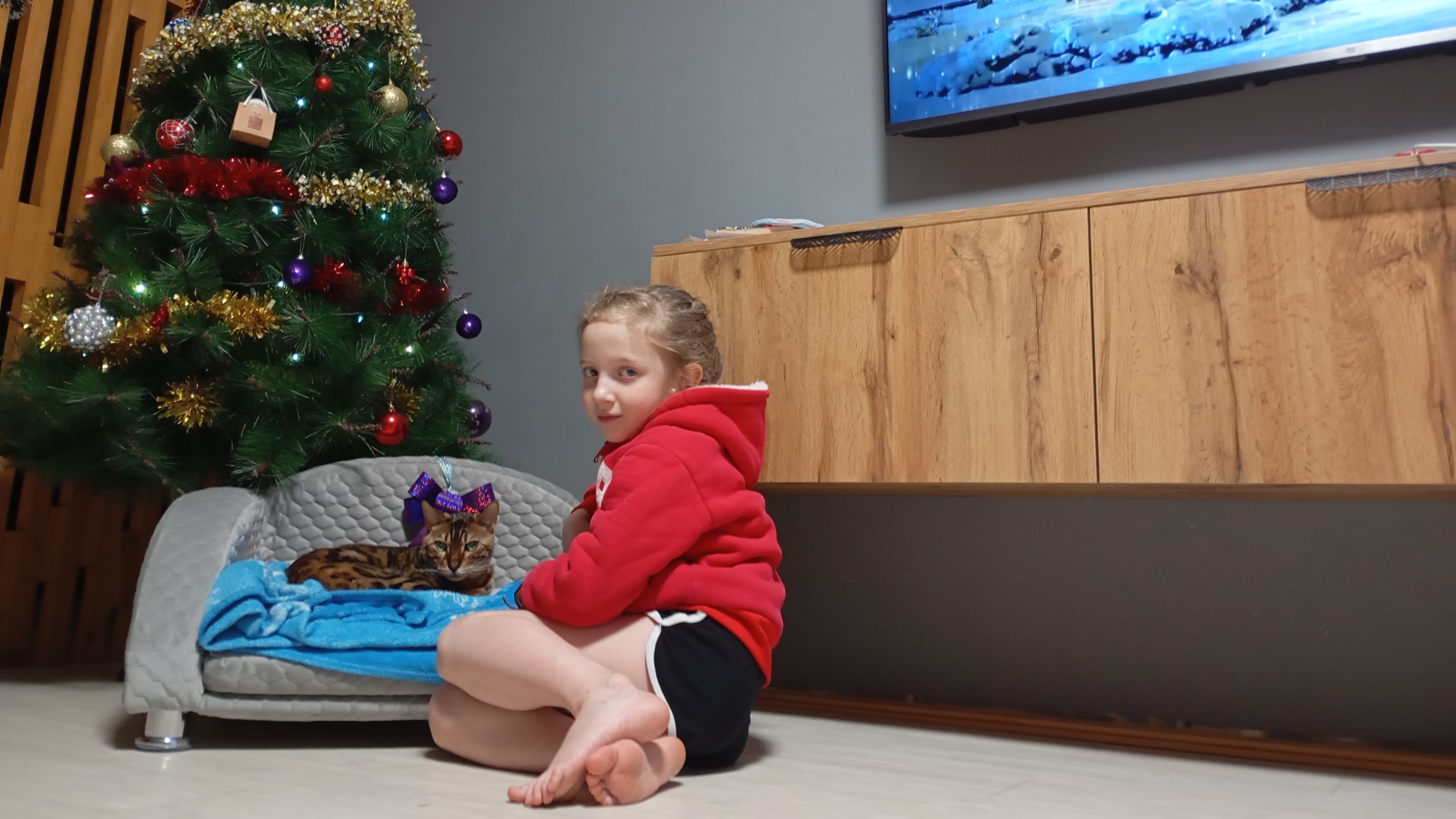 Новогодние планы смотреть онлайн