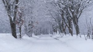 6 декабря - День тишины и гармонии.