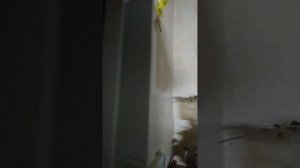 Вкусная и полезная вода ✨💥☺️😉