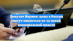 Депутат Наумов: цены в России могут снизиться из-за новой национальной модели