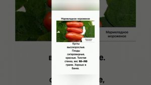 Видео-Каталог сортов томатов и перца моей коллекции.. Часть 2.