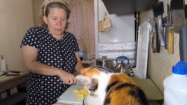 Уже и думаю,что стоит рассказать,а чего не стоит 🤔...