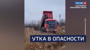 ВЕСТИ 24 Санкт-Петербург от 05.12.2025