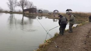 поимка форели на фидер