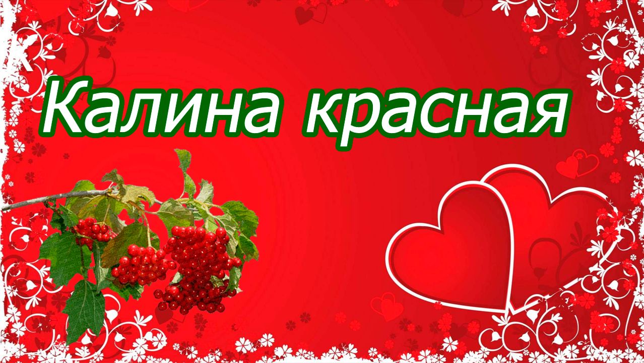 Калина красная..ст.Ирины  Белорусовой смотреть онлайн