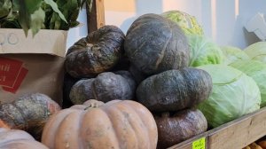 Сравниваем экстерьер тыкв, мраморной и жаба. Краснодар, Южный,овощной магазин, 05.12.25.