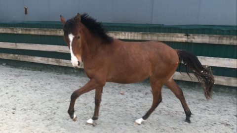 Тренировка на свободе 7.11.19