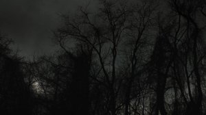 Бэк после перерыва в CS 2