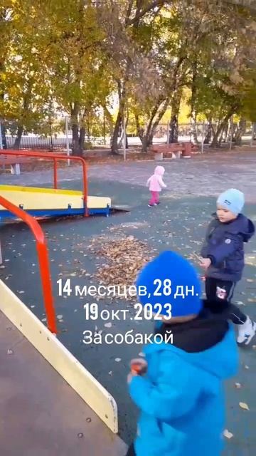 14 мес.,28 дн.За и от Собаки(19 окт.2023).mp4