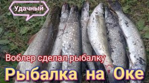 Рыбалка  на ОКЕ в последние дни лета,троллинг для души в прекрасную погоду