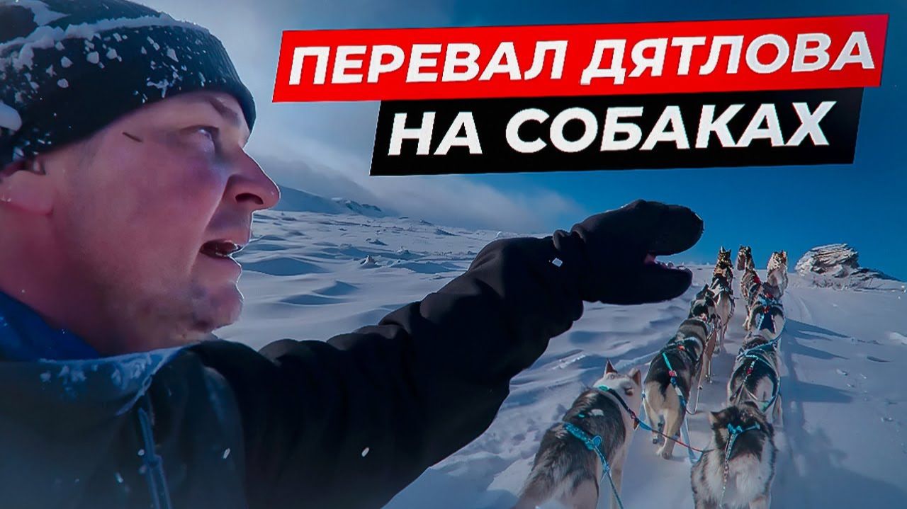 Восхождение на Перевал Дятлова на собаках. Как это было. смотреть онлайн