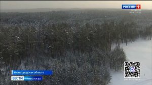 В Нижегородской области стартовала предновогодняя акция «Ёлочка, живи!»