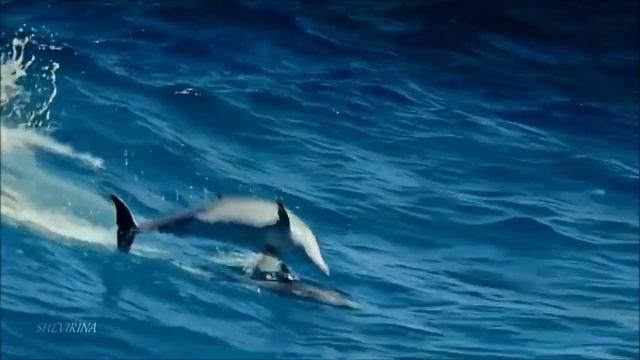 "О чём рассказало море" - сборник "Лёгкие пьесы", часть II