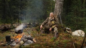 Тайга. Рассказывают Охотники, Лесники и Туристы что они видели в тайге.