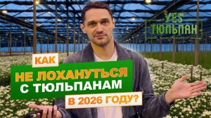 Скупой заплатит ДВАЖДЫ в сезоне 2026! 🌹