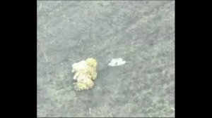 Был да сплыл №38