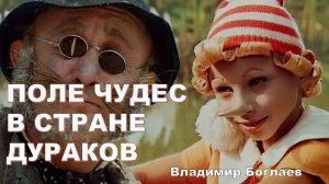 Владимир Боглаев: Под гнётом дураков.