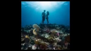 Импровизация 2 | Канал Правда Есть  | Информация только для Ознакомления.