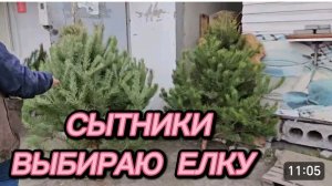 САМВЕЛ АДАМЯН, СЫТНИКИ, ВЫБИРАЮ ЕЛКУ..