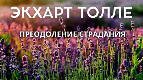 Страдание — не боль. Экхарт Толле