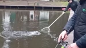 Форель клюёт по всей акватории. Спорт-зона. Клёвое место Лосиный остров.