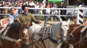 Участники Чемпионата русских троек-2025. Ч. 3. Тройка КСК "Баллада", г. Солнечногорск