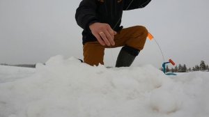 Первый лёд продолжается! Попал на бешеный клёв щуки на жерлицы!