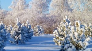 СП Добиваю недовязы 4/2025 Отчёт 42 с Мариной Стоговой