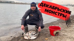 РЫБЕЦ-СЫРТЬ. ЛОВЛЯ КРУПНОГО РЫБЦА ФИДЕРОМ. ЗАТИШЬЕ-ПЕРЕД БУРЕЙ.