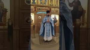 Введение во храм Пресвятой Богородицы. О доверии Богу детей. Проповедь о. Вячеслава. 4.12.25